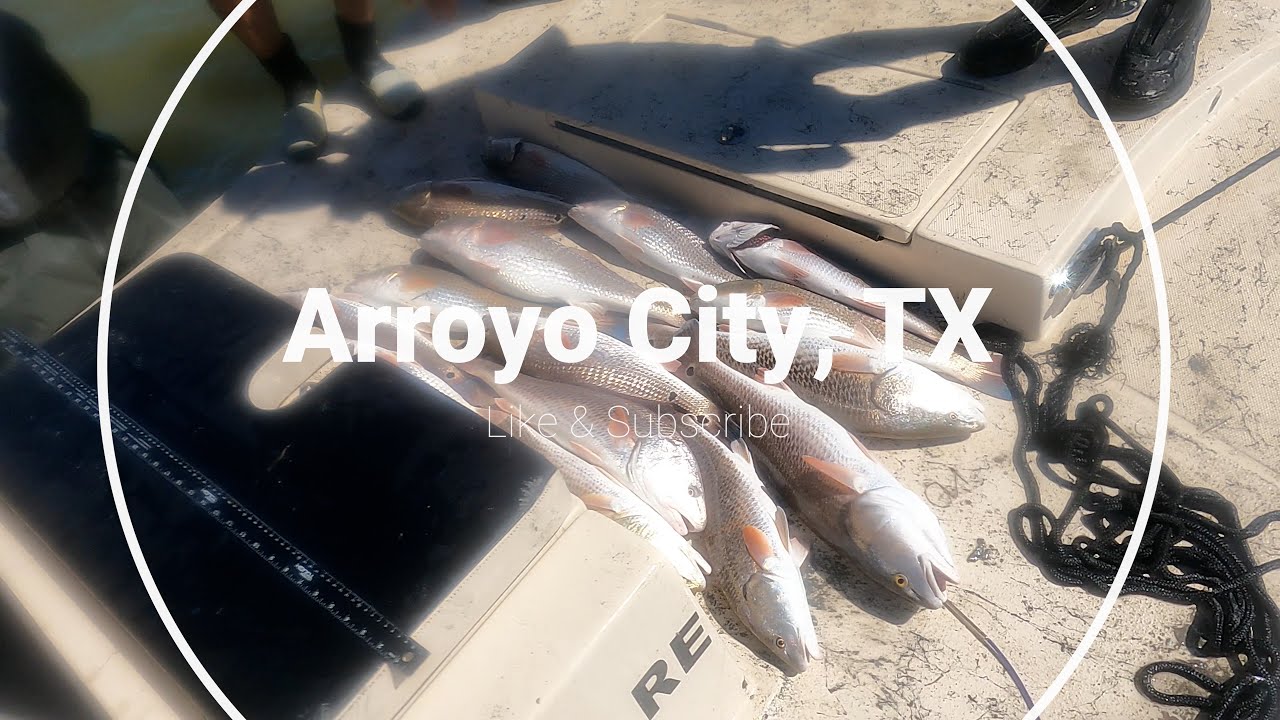 Arroyo City, Texas. Fishing, October 2021 #16