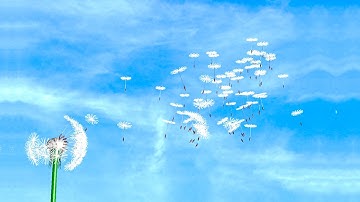 Dandelion Dynamic Simulation : test N°2