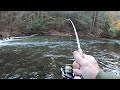 Creek Fishing for BIG TROUT! (Rainbow & Tiger Trout)