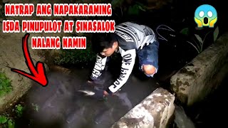 Pagkatapos Isarado Ang Irigasyon Natrap Nalang Ang Napakarami At Naglalakihang Mga Tilapia