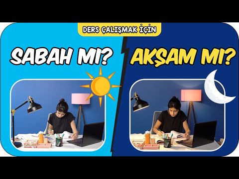 Sabah mı Yoksa Akşam mı Ders Çalışmalı? 🤔