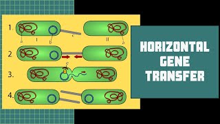 Horizontal Gene Transfer: Why you need to understand it!