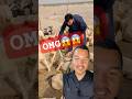 OMG 😱 Kasto idea yo manxy ko #shortvideo #shorts #sanke #tranding