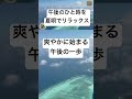 チェロとピアノが届ける夏の風