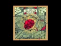 Broken Social Scene - Golden Facelift
