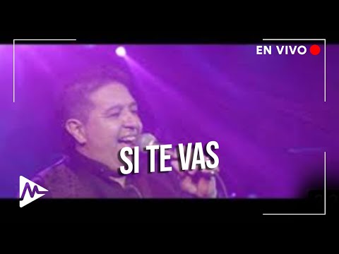 Mario Luis - Si Te Vas (En Vivo en Teatro Colonial)