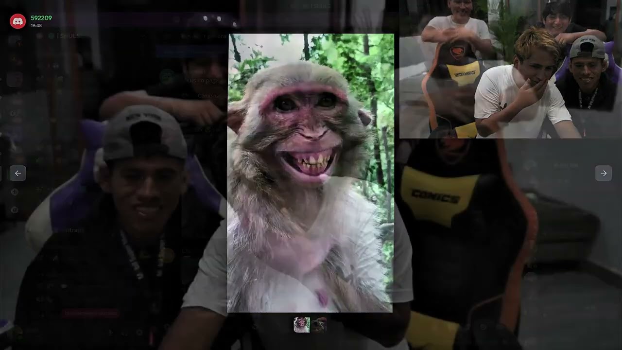SHULS REACCIONANDO A CLIPS GRACIOSOS 🤣🤣