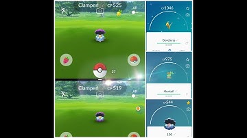 SHINY CLAMPERL, SHINY HUNTAIL, SHINY GOREBYSS & 100% (CLAMPERL RESEARCH)