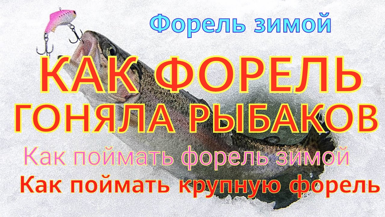 Рыбалка на прудах под Серпуховым: особенности, секреты, советы