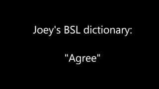 BSL dictionary - Agree