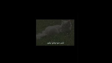 {سورة يوسف } القارئ : عبد الباسط عبد الصمد #استغفرالله #المصحف #الحمدلله #طمأنينه