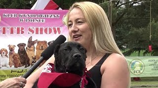 Zawody Ttb Show - Brdów 2017