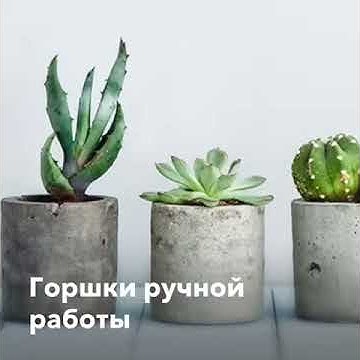Озеленение офисов, вертикальное озеленение, фитодизайн. - YouTube