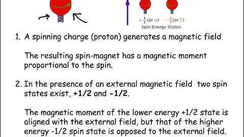 Lecture 7. Introduction to NMR Spectroscopy: Concepts and Theory, Part 1.