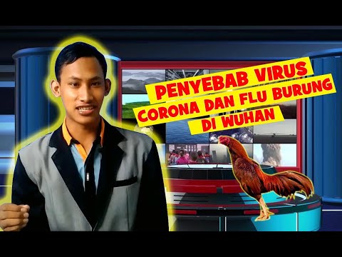 penyebab-virus-corona-dan-flu-burung-di-wuhan-china