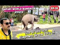Elephant Show Safari World Bangkok - Safari World Bangkok 2023