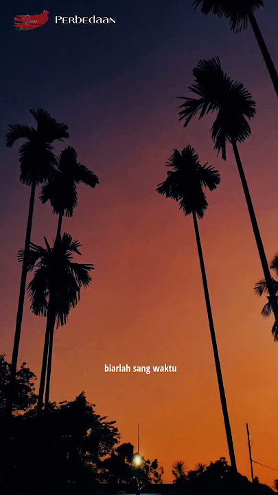 Ari lasso - Perbedaan (music story 2001) #storywa #musicstory #arilasso