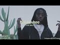 (2024) Milwaukee x Chicken P Type Beat - Twin Nem