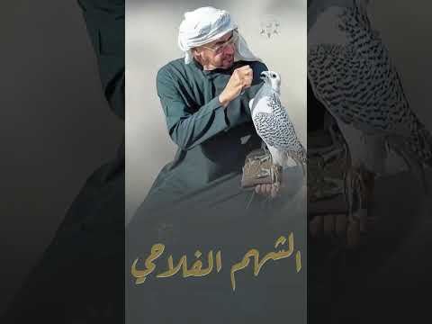 بوخالد محمد سلاح الشدايد شيخ صدى ذكره ملا ساير الكون ماخذ من الشهم الفلاحي عوايد