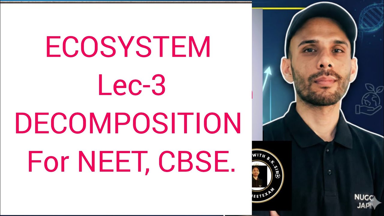 Decomposition – Process and Steps | Class 12 Ecology | NEET Biology