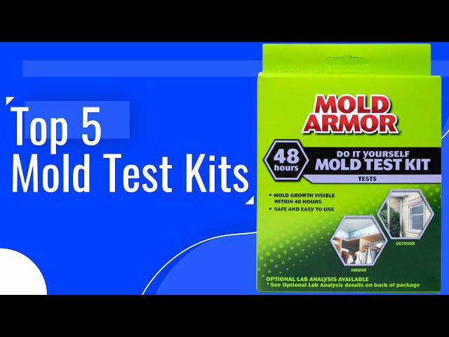 Top 5 Best Mold Test Kits Review in 2023 