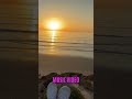 Sunset Vibes: Surfers, Music Video & Beach Bliss! #shorts