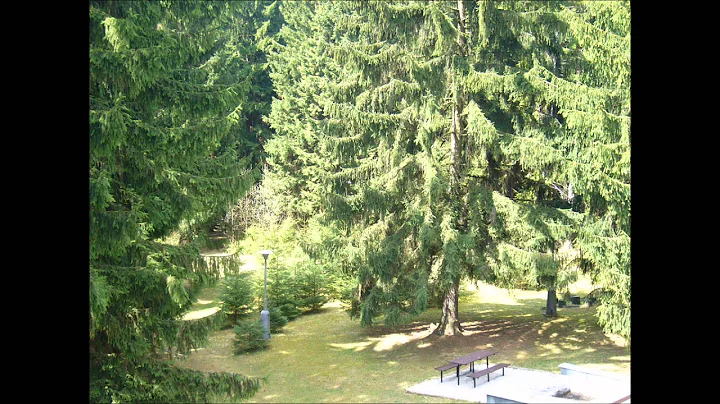 Horsk hotel Paradise-Zimowis...  szkoly.wmv