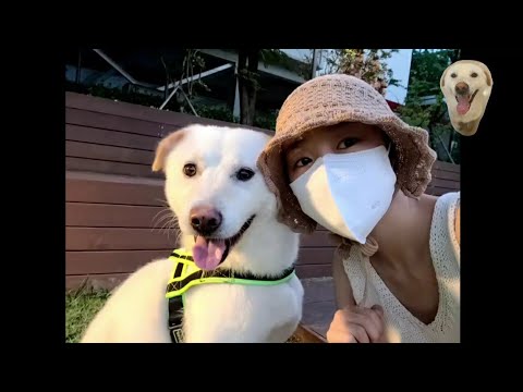 [우주소녀] 럭키의 산책🐶