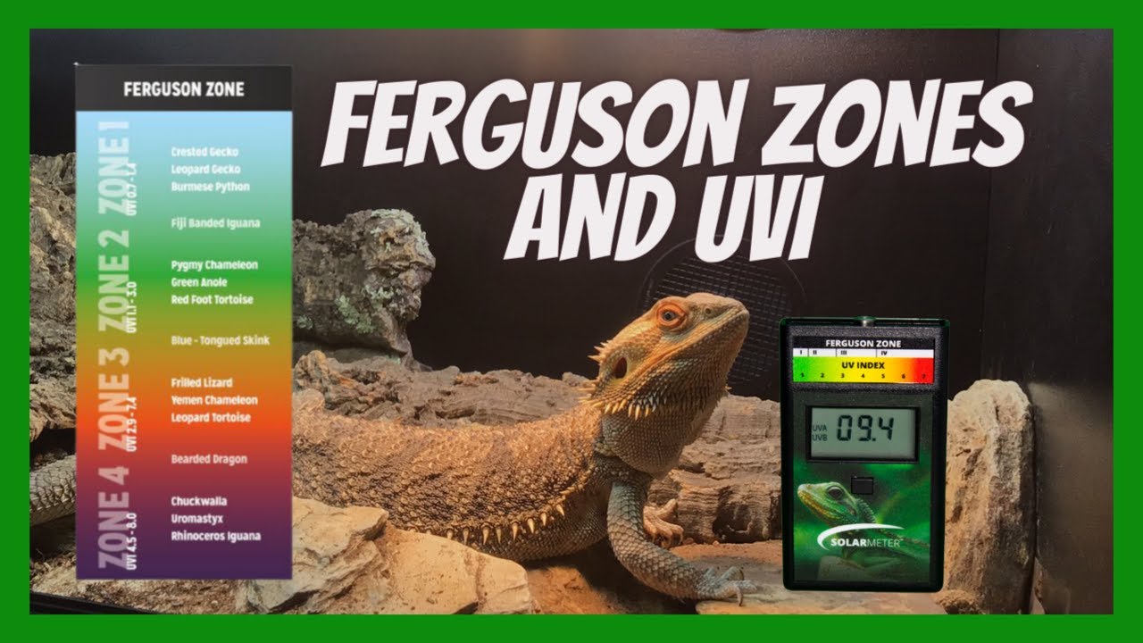 Introduction Into Ferguson Zones What Ferguson Zone Does My Reptile