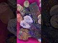 #video #gymchalk #oddlysatisfying #gymvhalkasmr #viralvideo #dyedgymchalk Cr by cham cham chalk