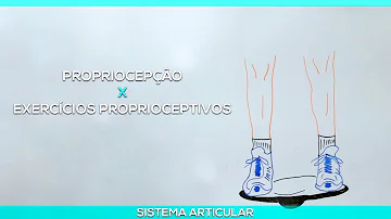 Quais são os tipos de exercícios proprioceptivos?