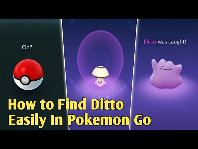 How to Catch a Ditto in 'Pokémon GO' — Where to Find It