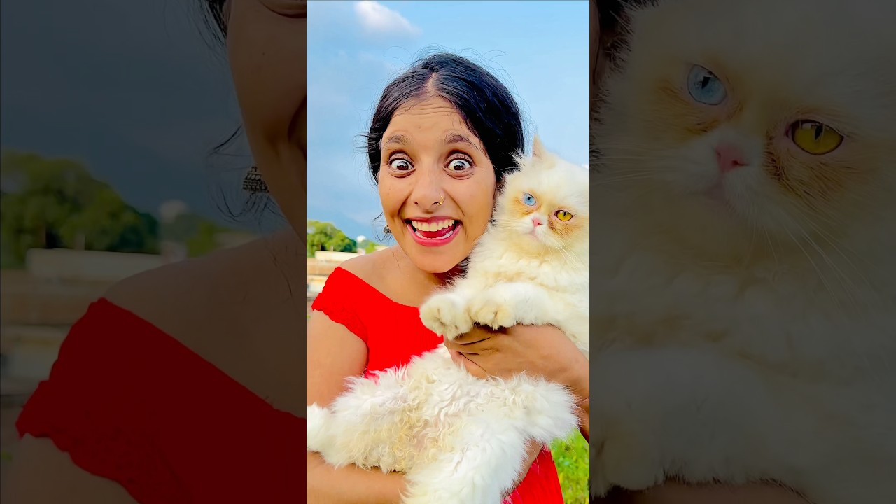 Meri cat kho gayi 😱😭 | Mini Vlog #shorts #minivlog #ashortaday #vlog #trending #cats #cat