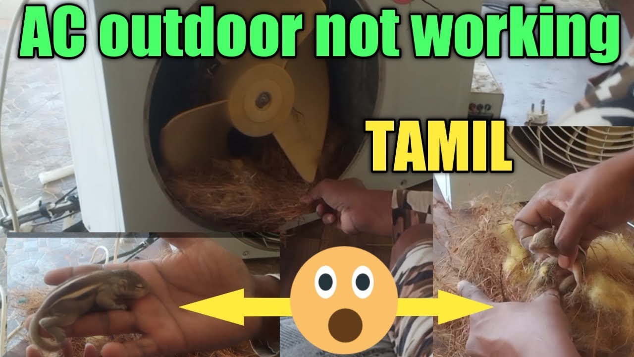 AC outdoor problem tamil,ac outdoor fan not running ,அணில் கூடு YouTube
