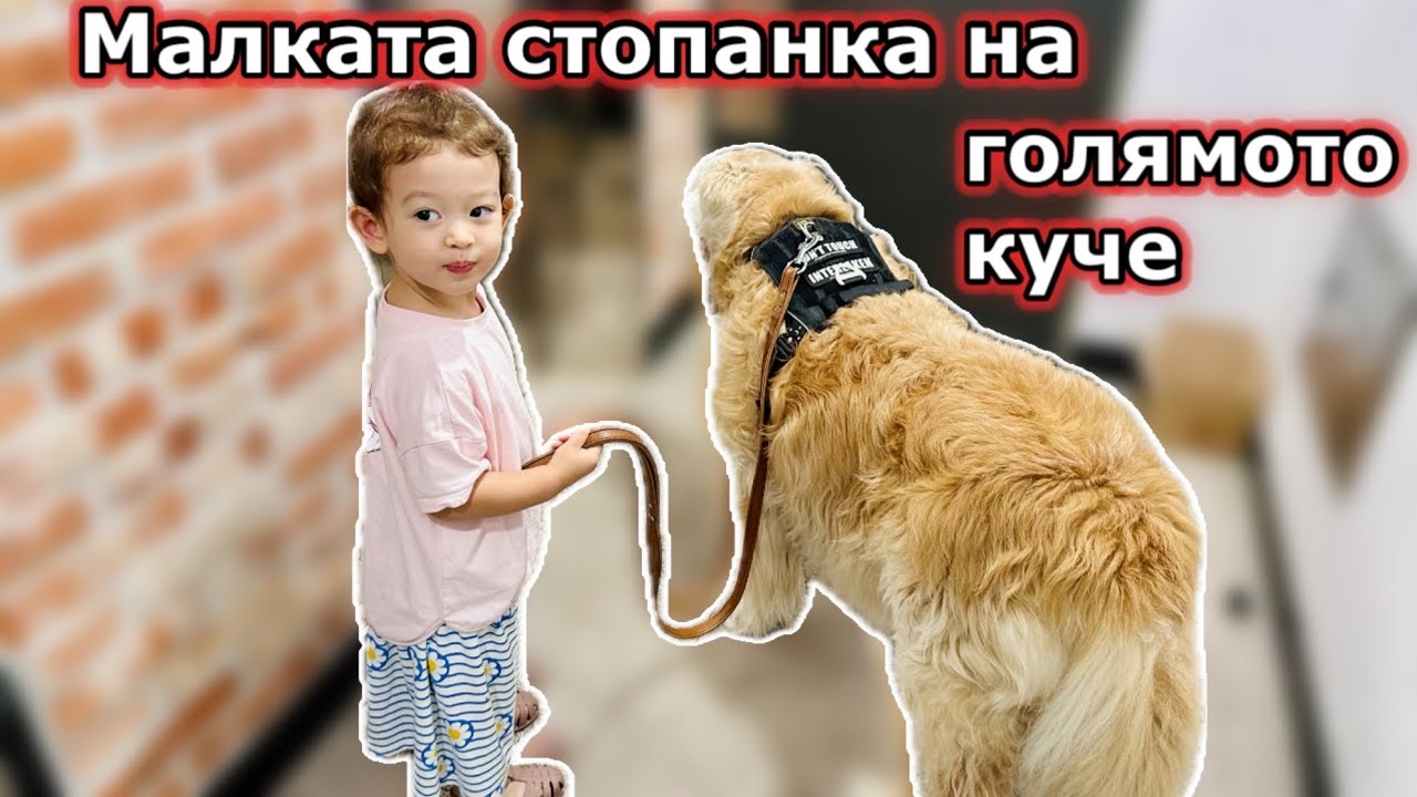 Малката стопанка на големият Миру ☘️ Една вкусна рецепта с риба . 