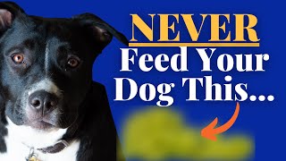 16 Foods Your Staffy Should NEVER Eat