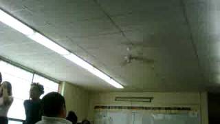 VID 00006-20100422-0848.3GP