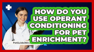 How Do You Use Operant Conditioning For Pet Enrichment? - PetGuide360.com