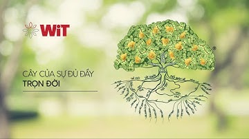 Tư Duy Triệu Phú 14: Người Giàu Quản Lý Tiền Của Họ Rất Giỏi