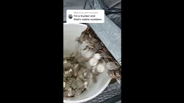 Here is my collection after vacation Part 1 ( Part 2 posted immediately)