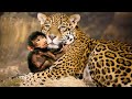 14 Unbelievable Animals That SAVED Other Animals | Animals Saving Other Animals | TOP7