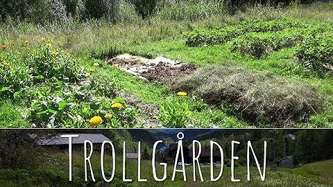 Building a no-dig garden using sheet mulch