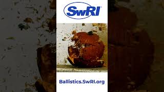 Candy Carves Pumpkin in Explosive Ballistics Calibration