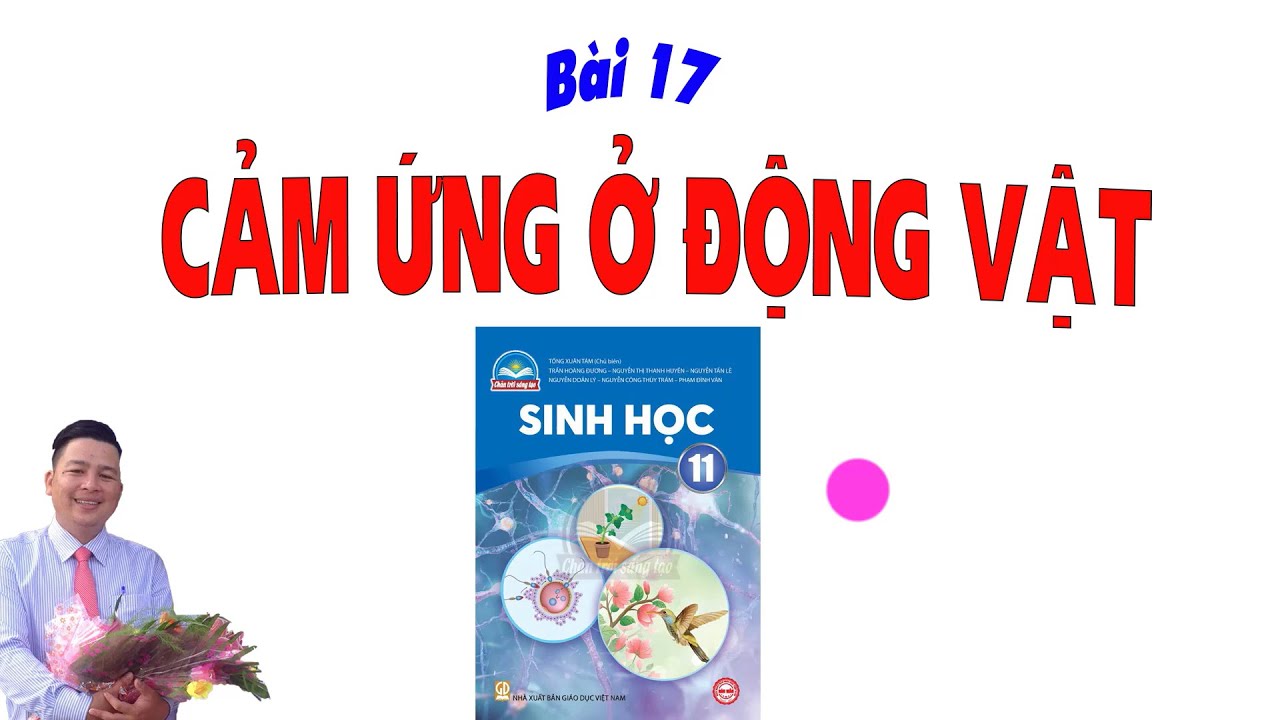 Sinh 11 CTST_Bài 17 Cảm Ứng Ở Động Vật