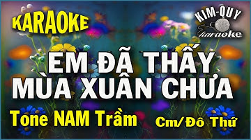 EM ĐÃ THẤY MÙA XUÂN CHƯA - KARAOKE - Tone NAM Trầm ( Cm/Đô Thứ )