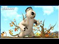 THE APPLE TREE Bernard 110 Compilation 