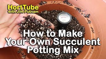 The Best Succulent and Cactus Potting Mix - Testing pH and Soil Moisture