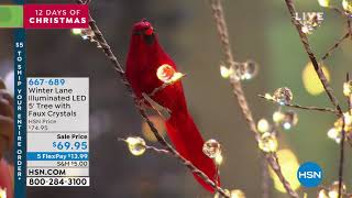 Winter Lane Illuminated LED 5' Tree with Faux Crystals screenshot 5