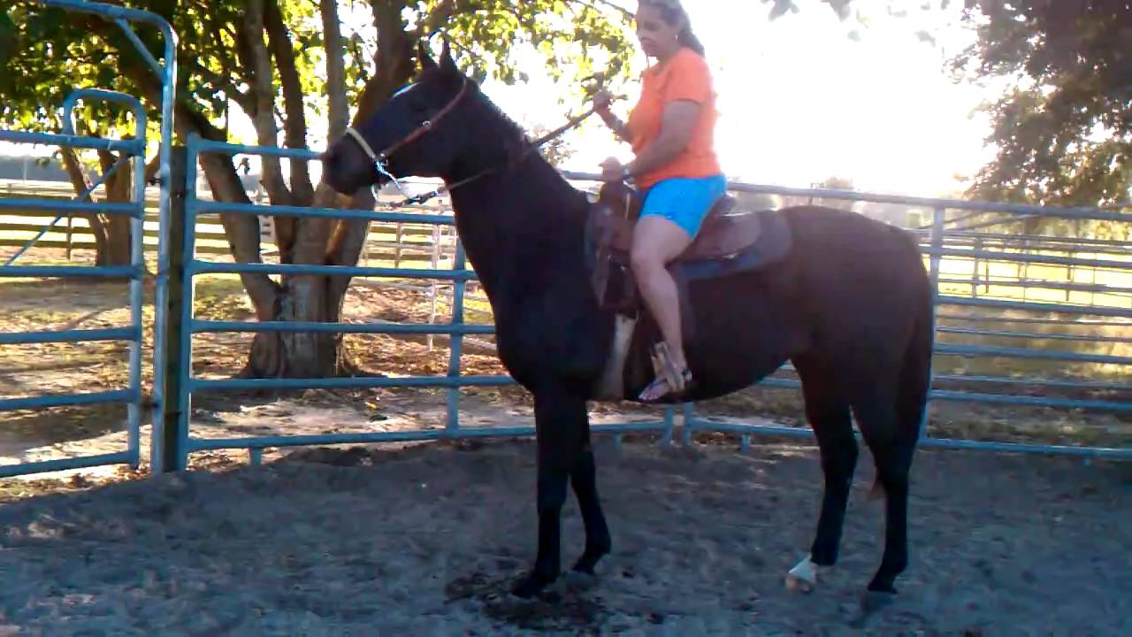 Kat Ride Kat's Ride - YouTube