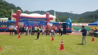 고령군청  직원  체육대회